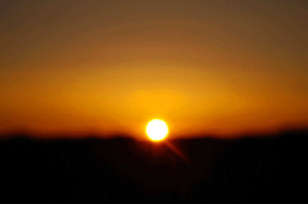 dsc05403.jpg