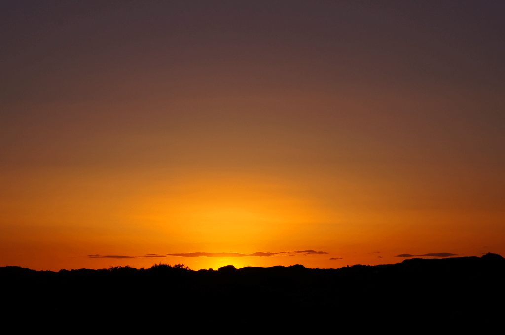 dsc05411.jpg