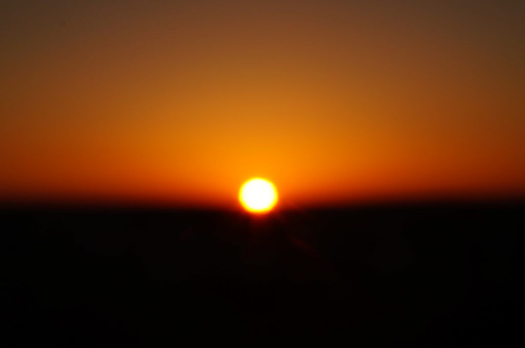 dsc05422.jpg