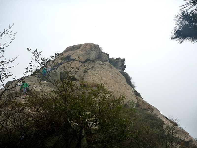 p1120999_.jpg