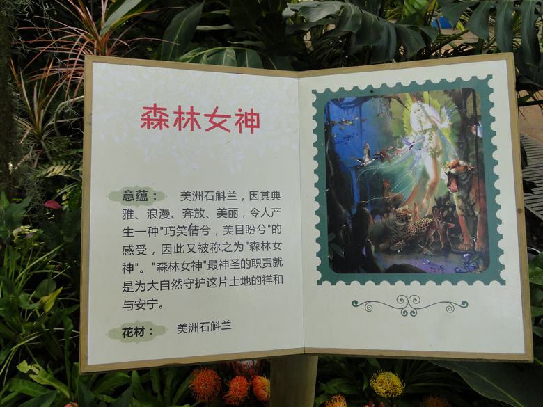 neo_img_dsc03515.jpg