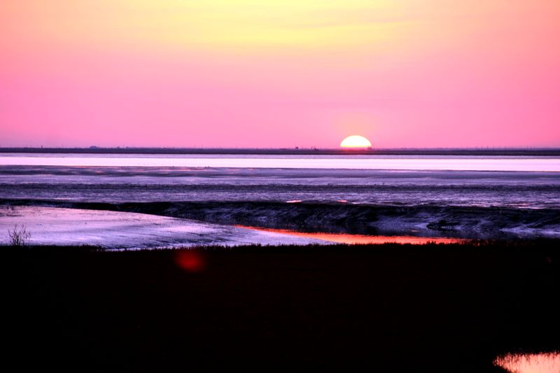 img_8416.jpg