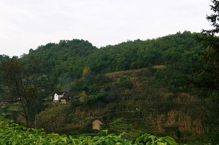 p1230716.jpg
