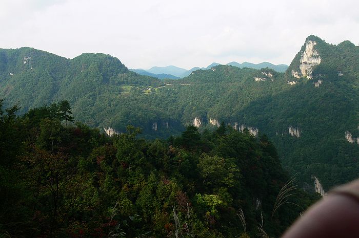 p1230722.jpg