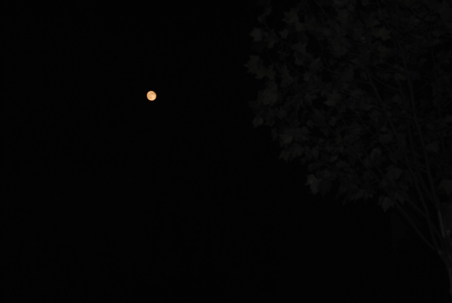 dsc_1926.jpg