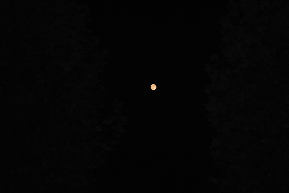 dsc_1929.jpg