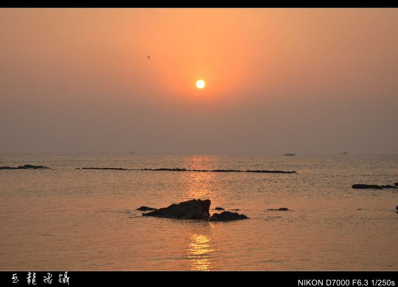 dsc_4310_conew1.jpg