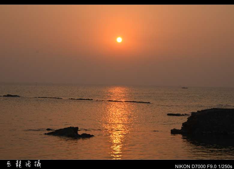 dsc_4328_conew1.jpg
