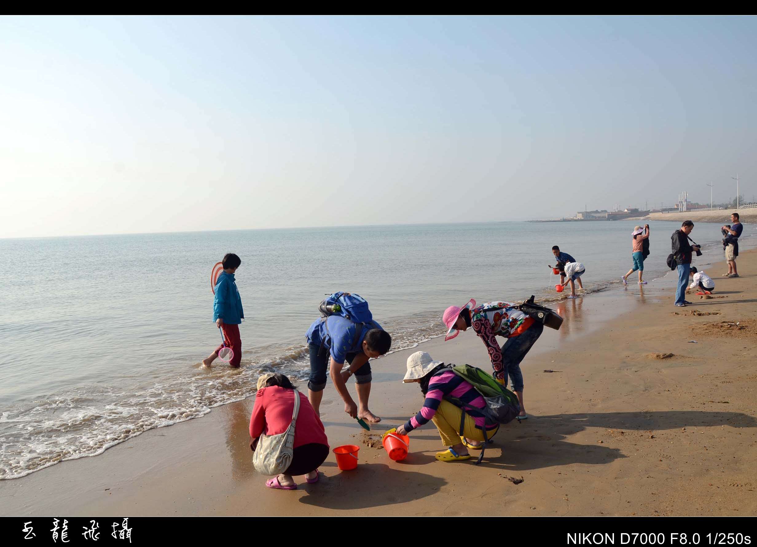 dsc_4395_conew1.jpg