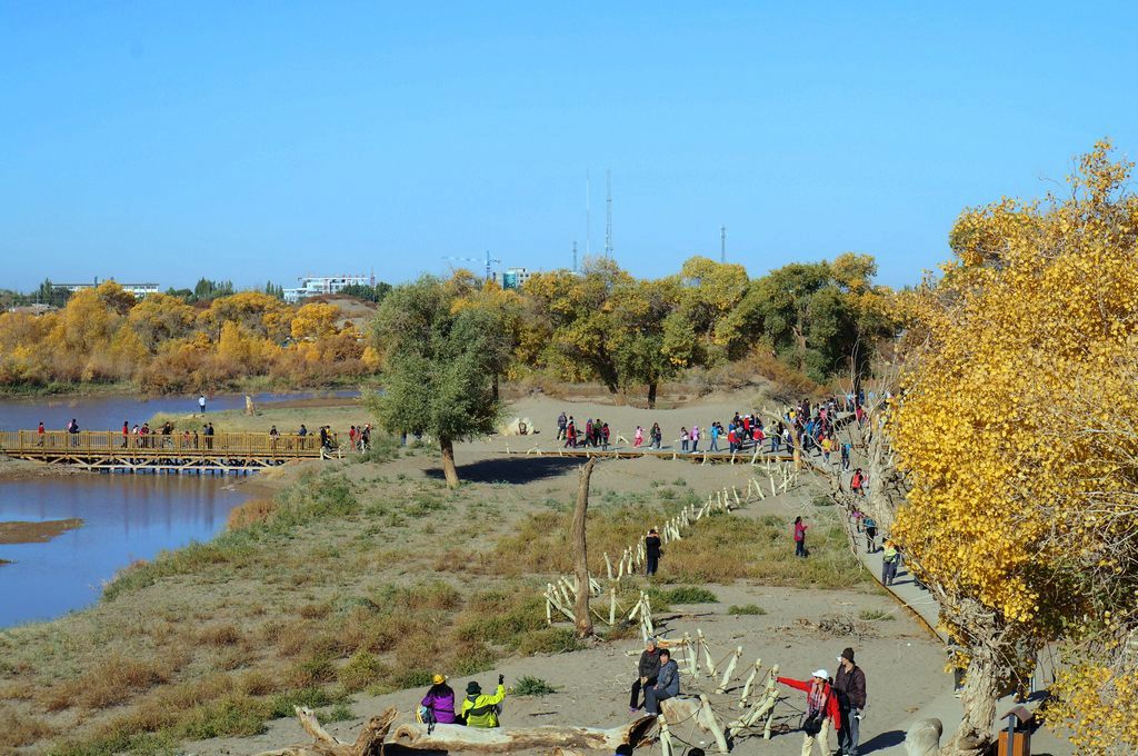 dsc05468.jpg