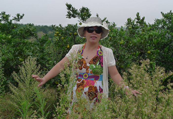 p1080053.jpg