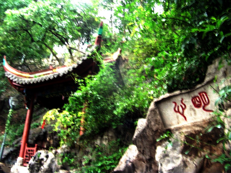 dscf0071.jpg