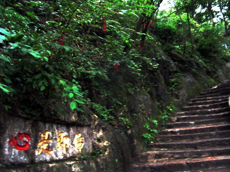 dscf0074.jpg