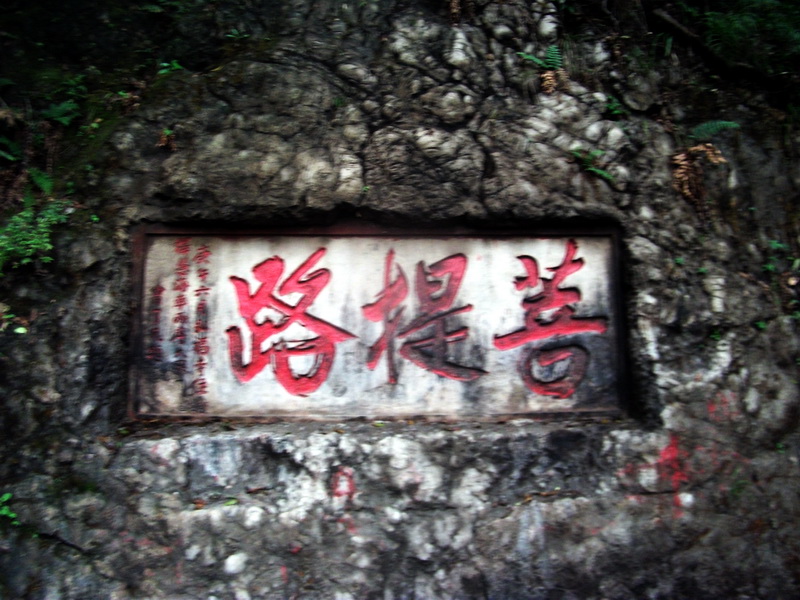 dscf0065.jpg