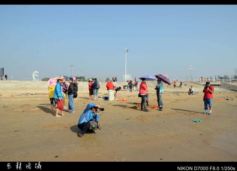 dsc_4424_conew1.jpg