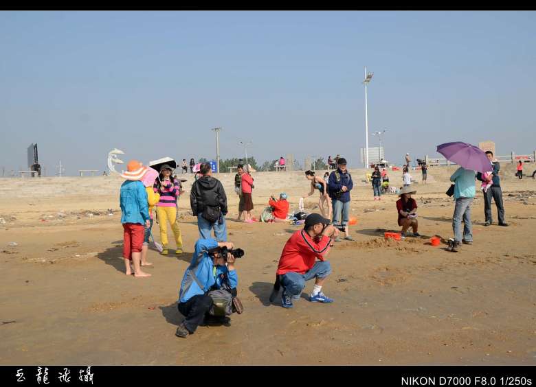 dsc_4426_conew1.jpg