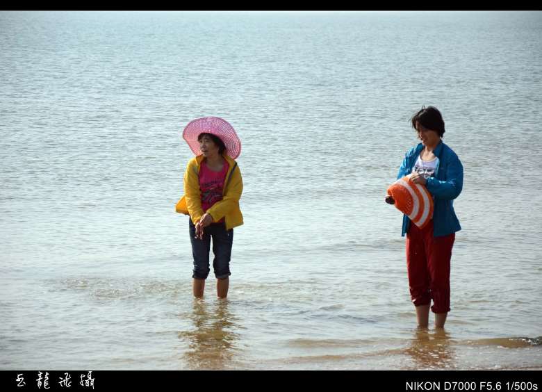 dsc_4444_conew1.jpg