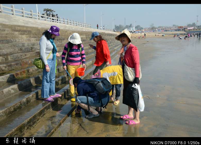 dsc_4536_conew1.jpg