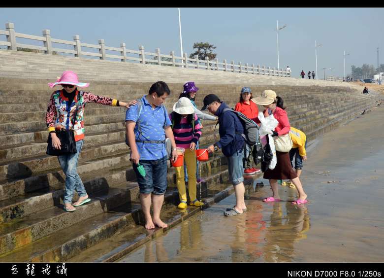 dsc_4539_conew1.jpg