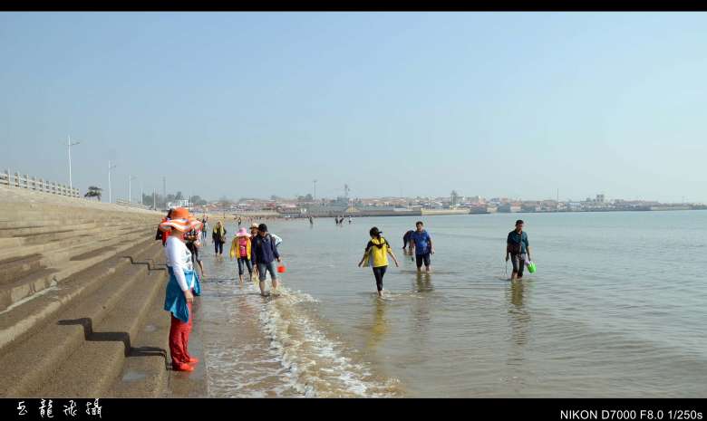 dsc_4544_conew1.jpg
