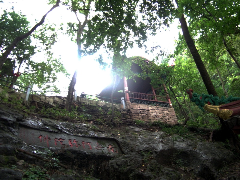 dscf0075.jpg