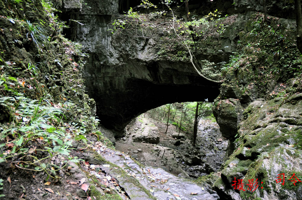 dsc_0704.jpg