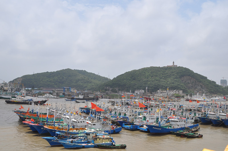 dsc_0038_.jpg