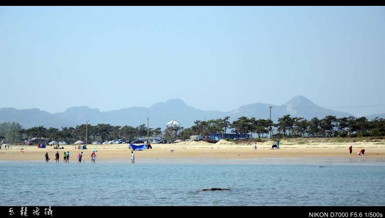 dsc_4621_conew1.jpg