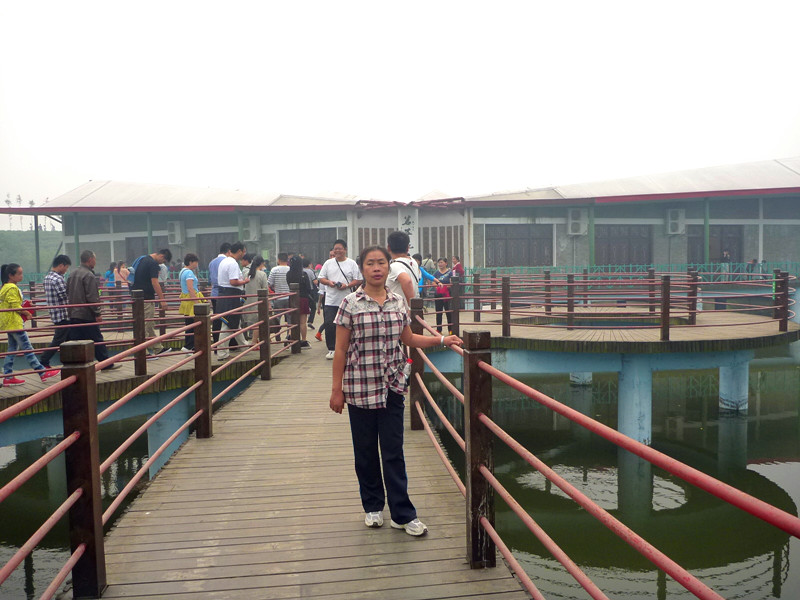 p1130006_.jpg