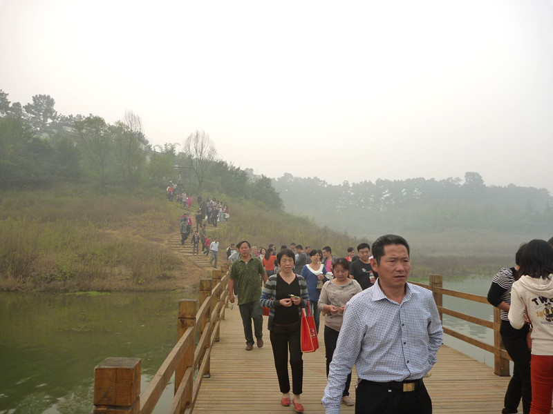 p1130003_.jpg