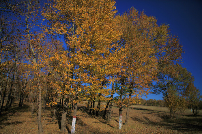 img_0060.jpg
