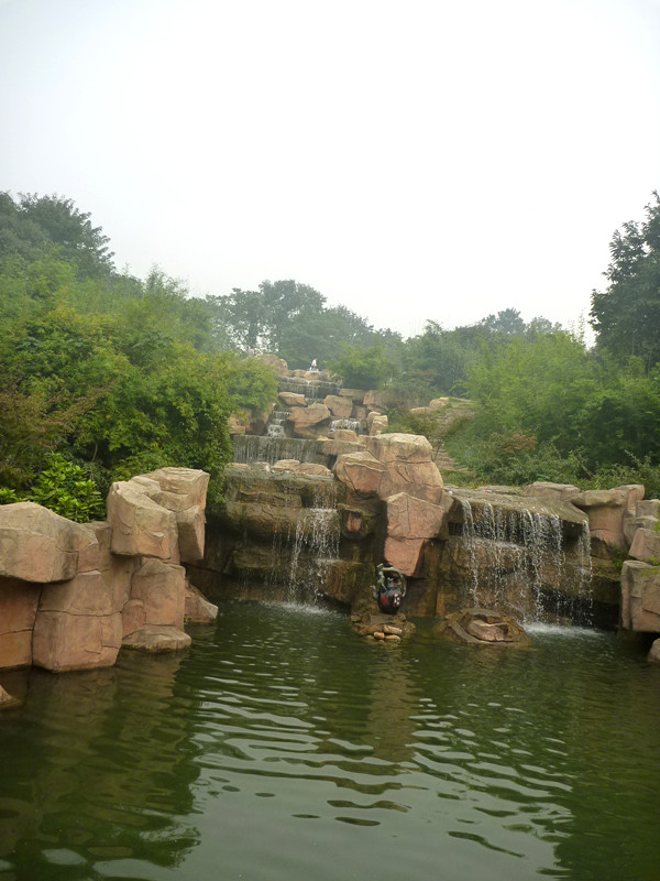 p1130010_.jpg