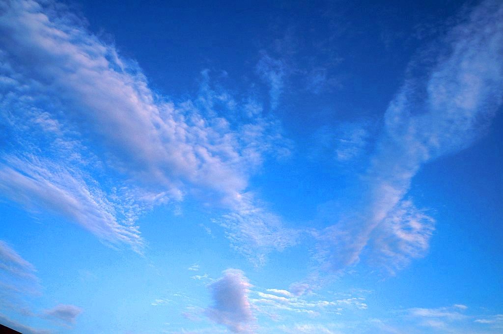 dsc05108.jpg