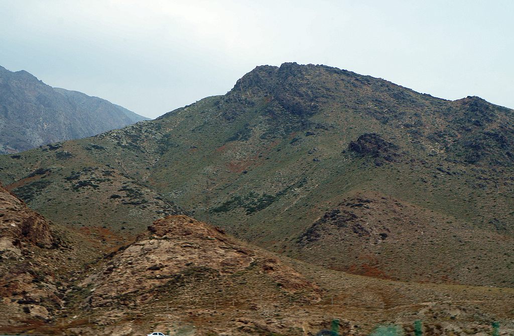 dsc05690.jpg