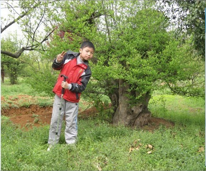 19.jpg