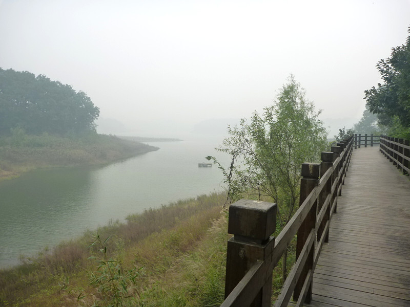 p1130019_.jpg