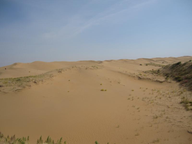img_0060.jpg