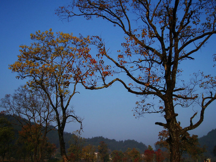 p1013012.jpg