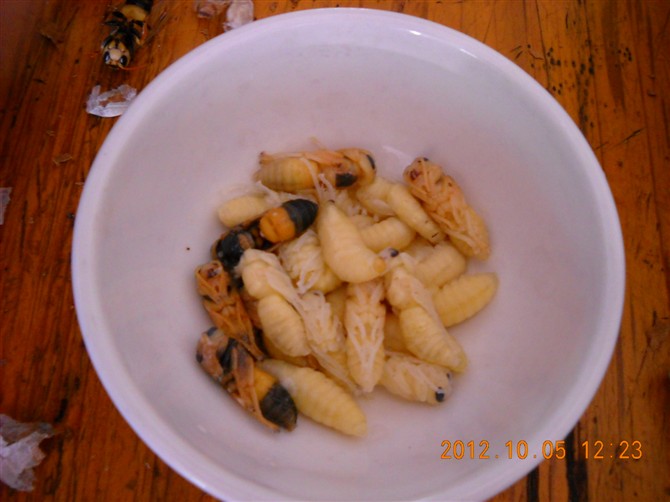 psbcahucdjo.jpg