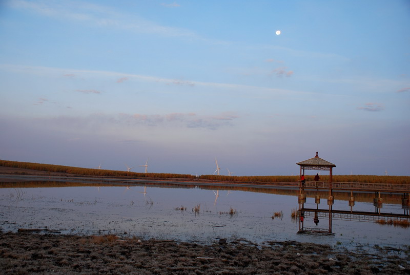dsc_9594.jpg