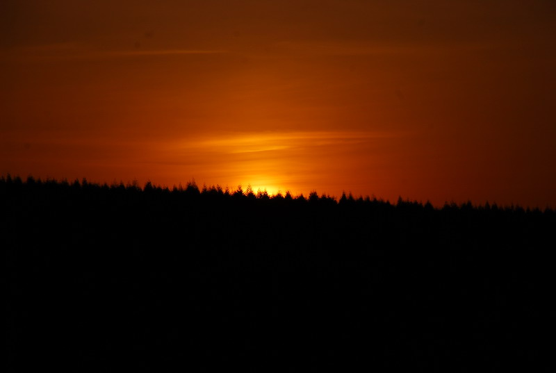 dsc_9607.jpg