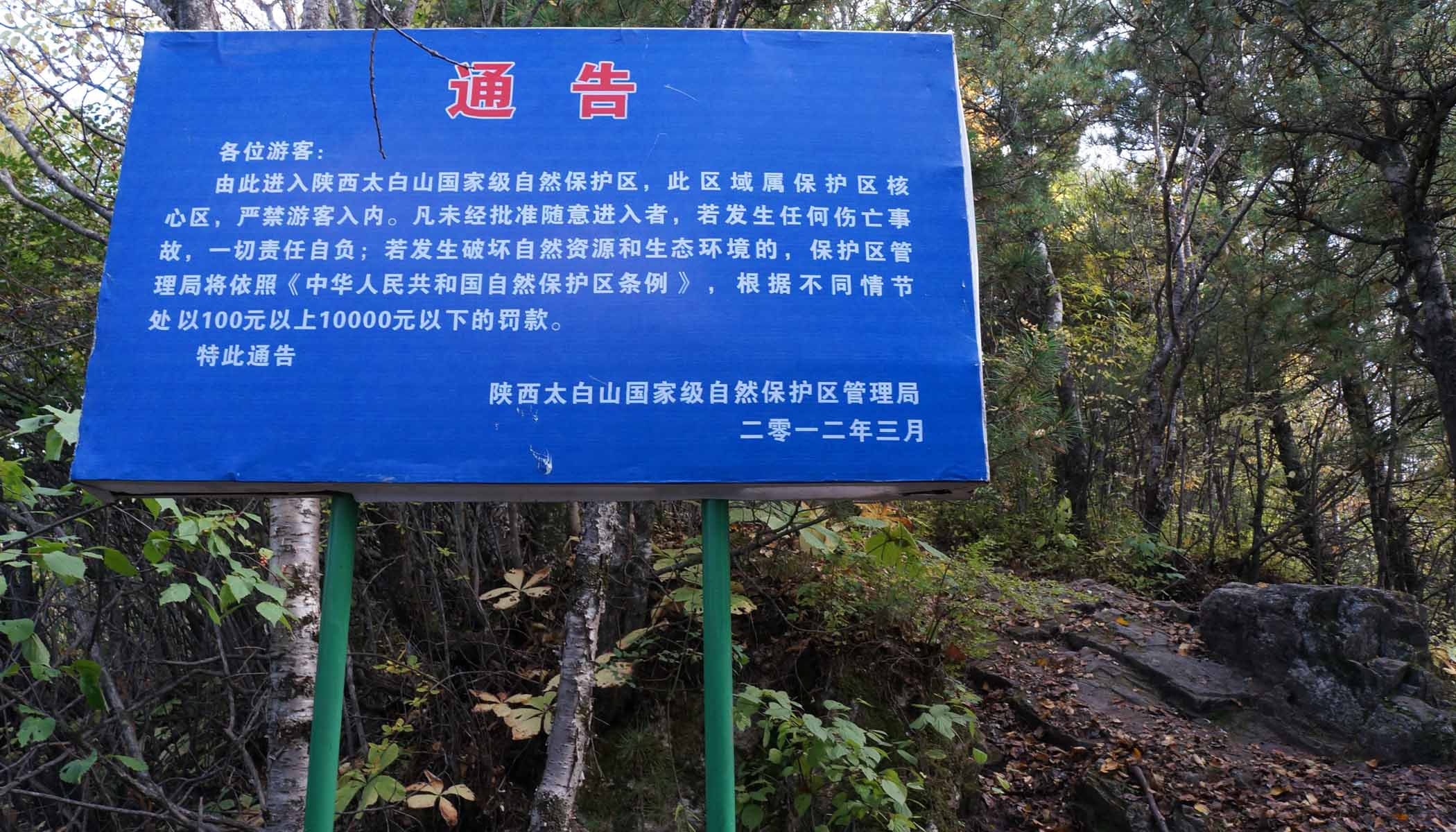 dsc00724.jpg
