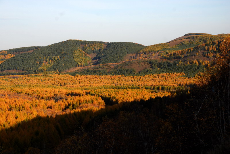 dsc_9786.jpg