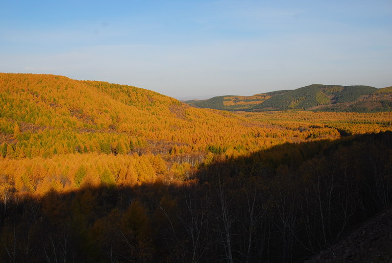 dsc_9785.jpg