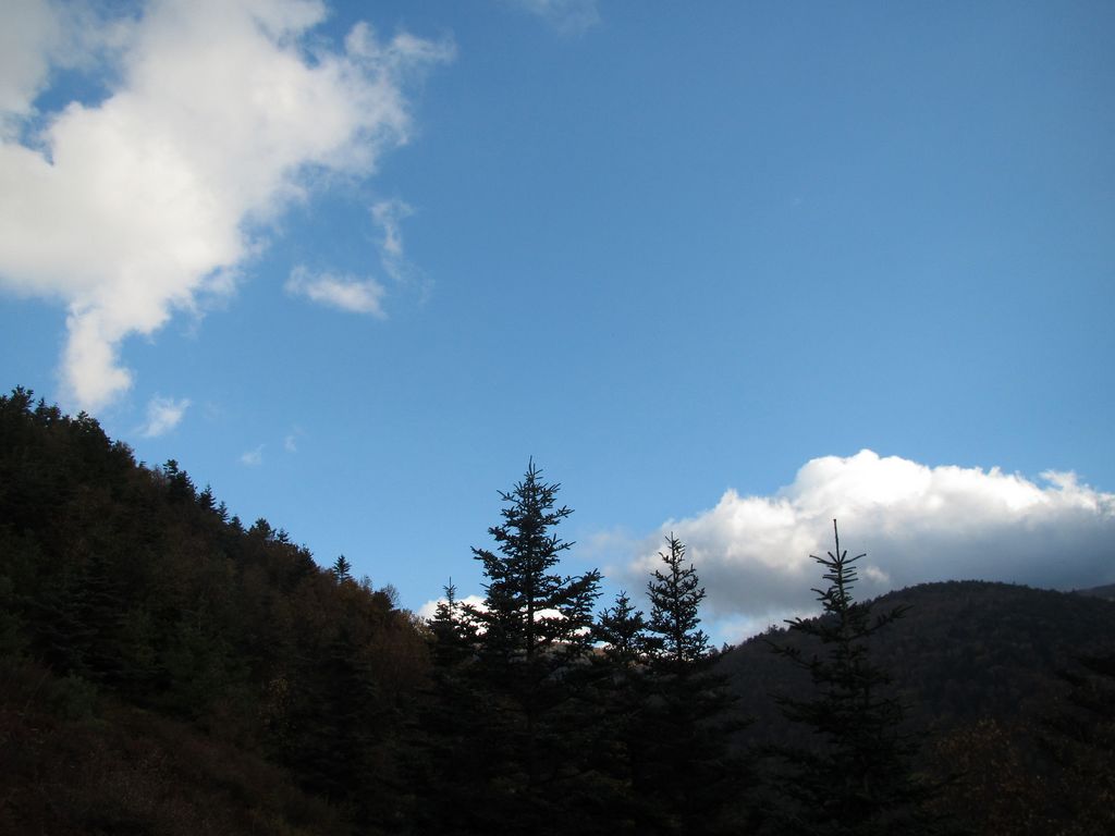 img_0057.jpg