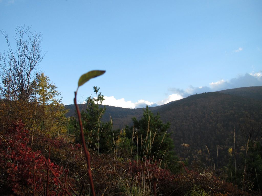 img_0066.jpg