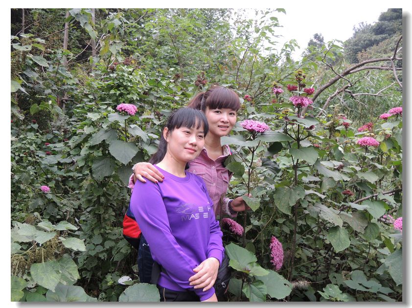 neo_img_Ƭ 022.jpg