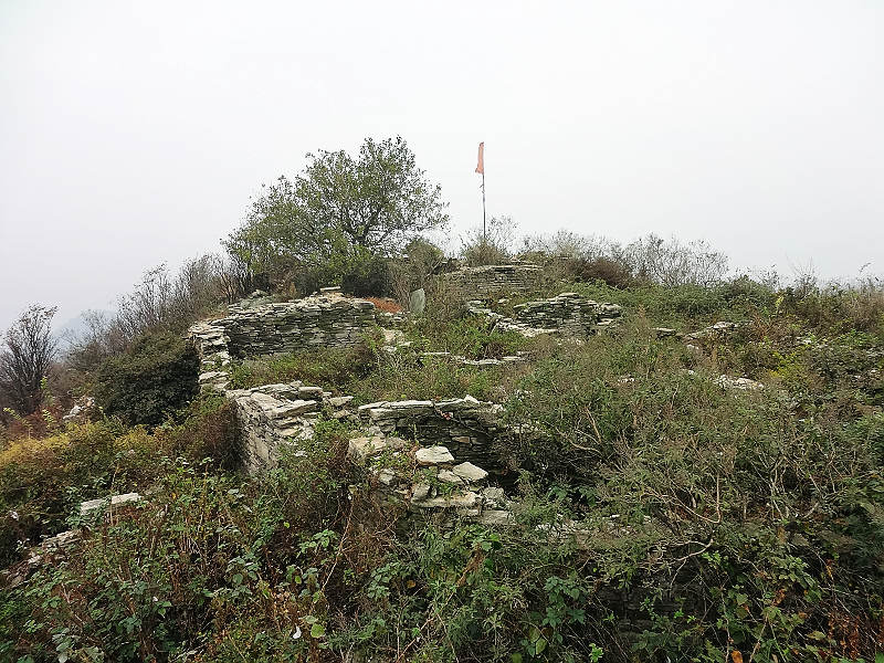 dsc01394.jpg