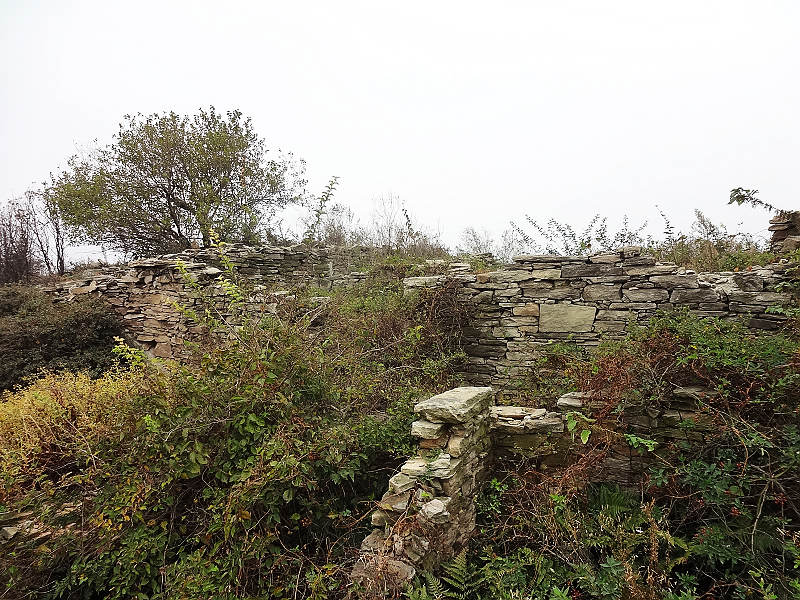 dsc01393.jpg