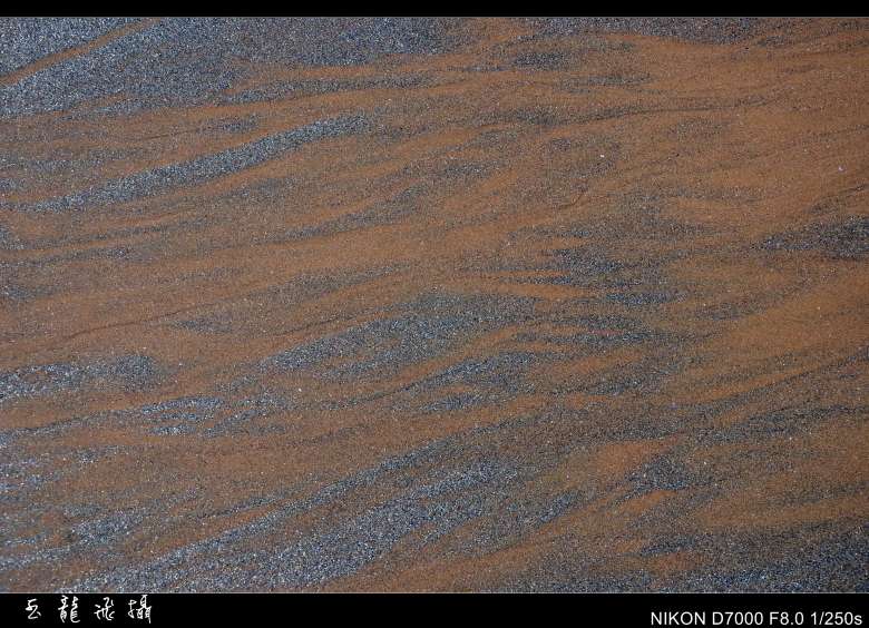 dsc_4554_conew1.jpg